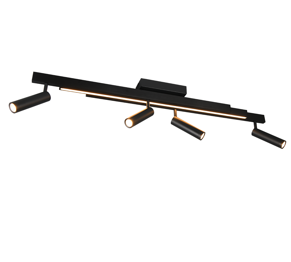 ZENO | Ceiling lamp | Black mat | Metal