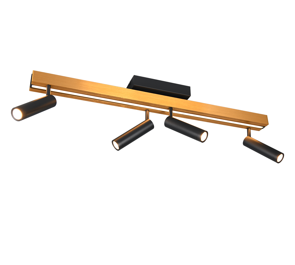 ZENO | Ceiling lamp | Schwarz-Gold | Metal