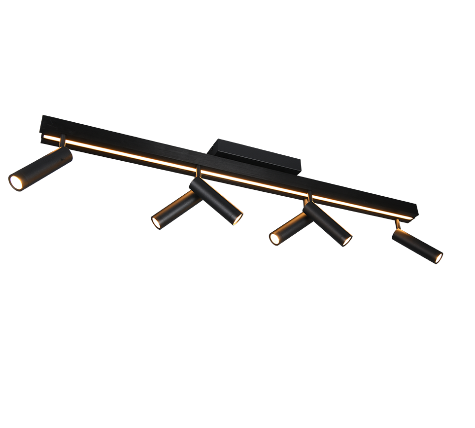 ZENO | Ceiling lamp | Black mat | Metal