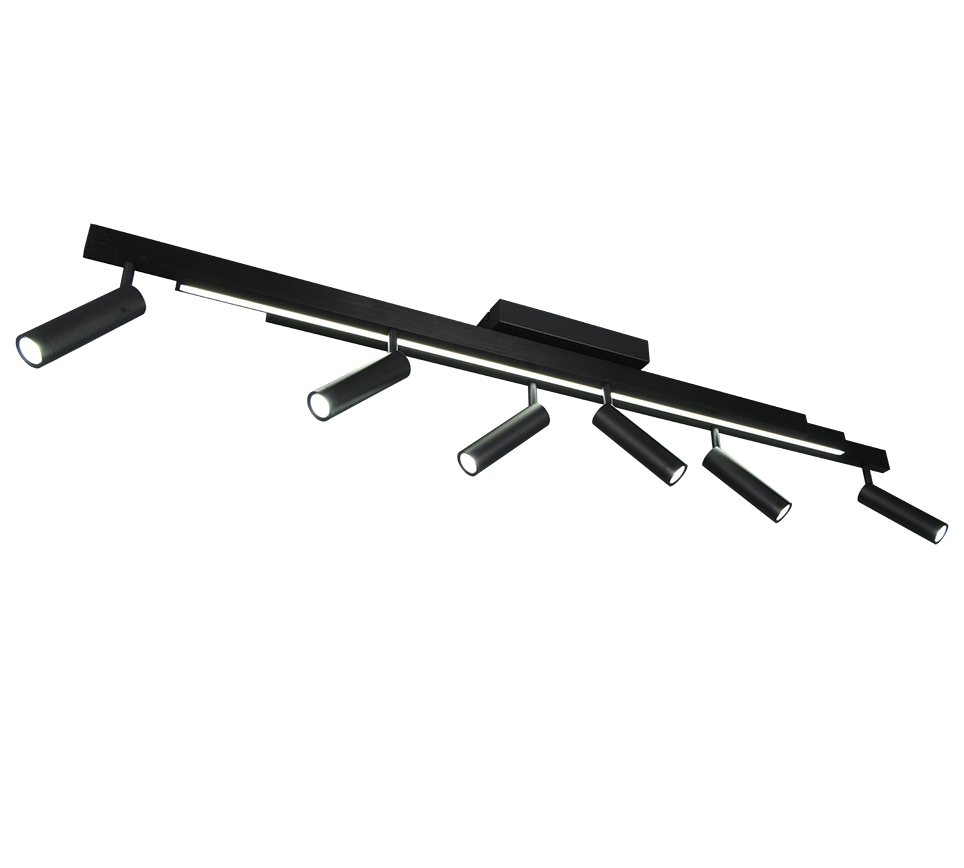 ZENO | Ceiling lamp | Black mat | Metal