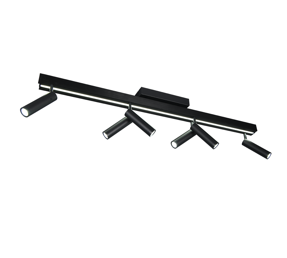 ZENO | Ceiling lamp | Black mat | Metal