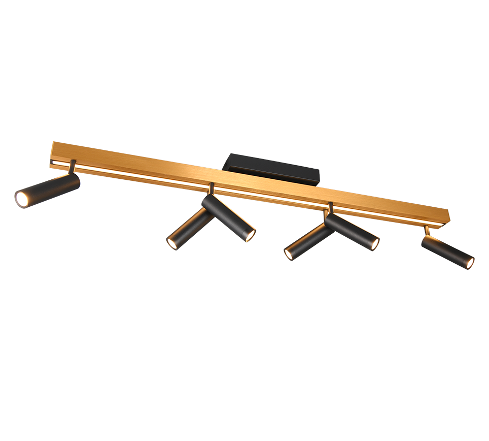 ZENO | Ceiling lamp | Schwarz-Gold | Metal