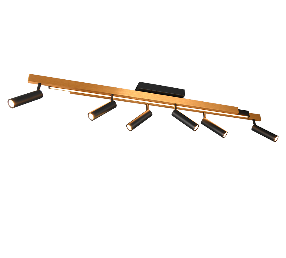 ZENO | Ceiling lamp | Schwarz-Gold | Metal