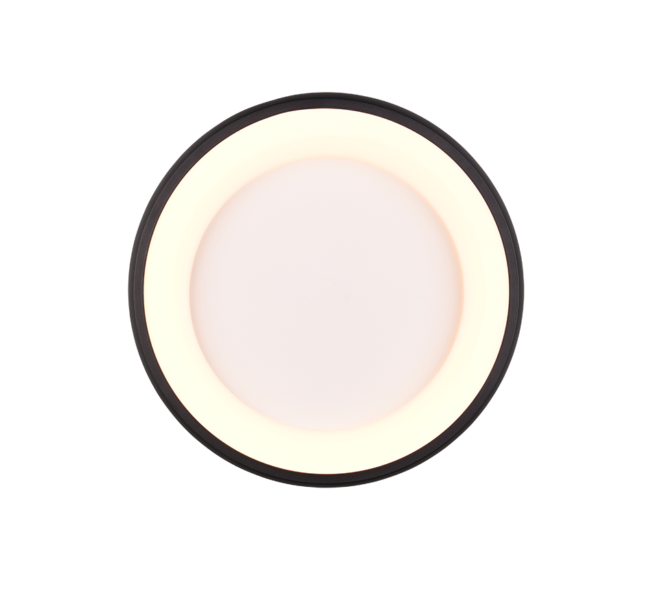CARDONA | Ceiling lamp | Black mat | Metal