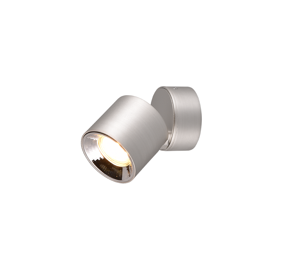 GUAYANA | Ceiling lamp | Nickel mat | Metal