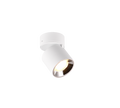 GUAYANA | Ceiling lamp | White mat | Metal