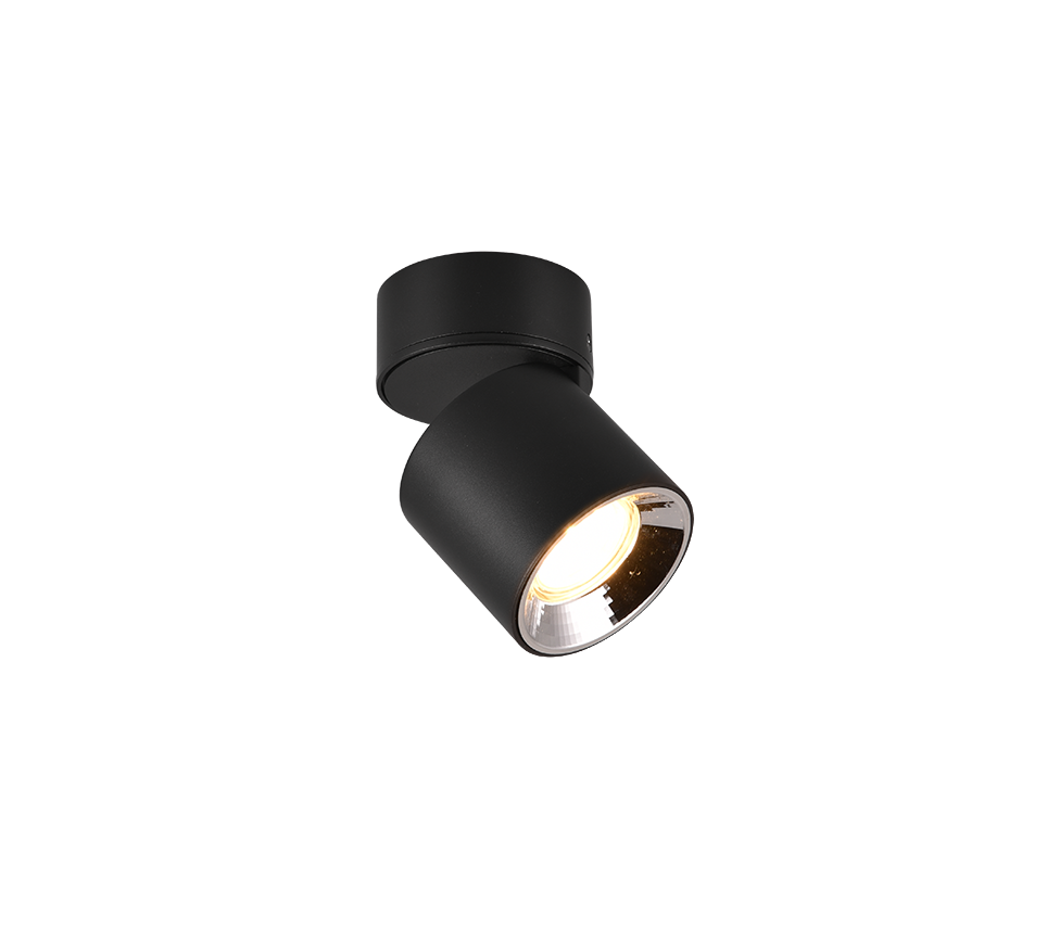 GUAYANA | Ceiling lamp | Black mat | Metal