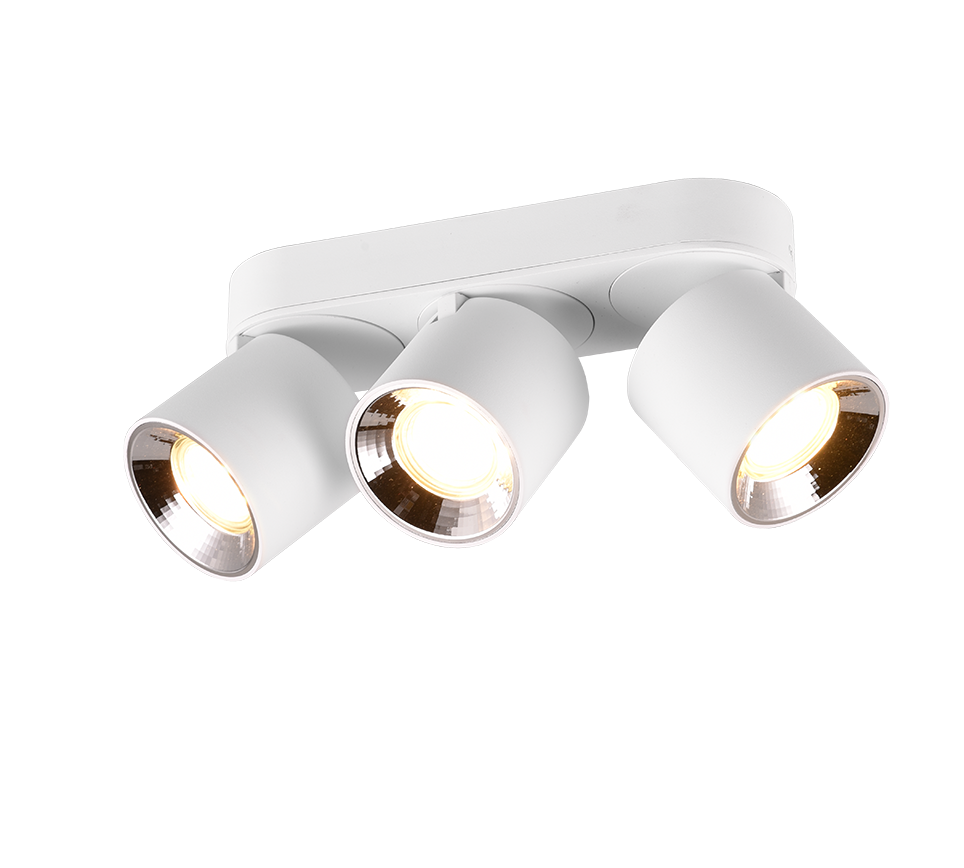 GUAYANA | Ceiling lamp | White mat | Metal