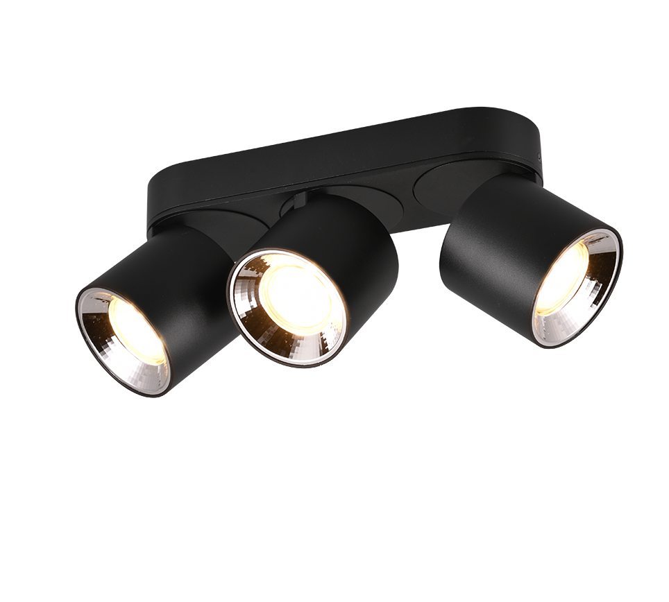 GUAYANA | Ceiling lamp | Black mat | Metal