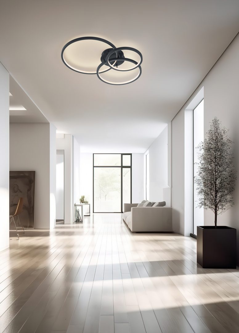 AARON | Ceiling lamp | Anthracite | Metal