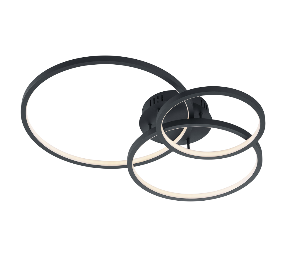 AARON | Ceiling lamp | Anthracite | Metal