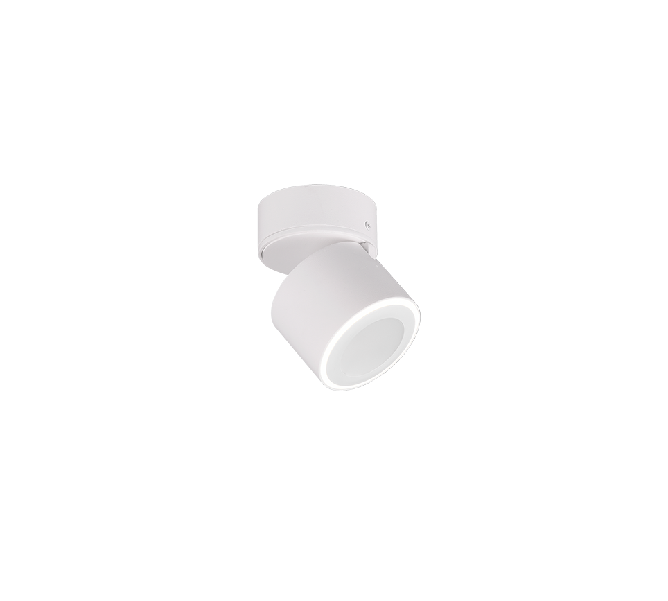TAURUS | Ceiling lamp | White mat | Metal