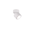 TAURUS | Ceiling lamp | White mat | Metal