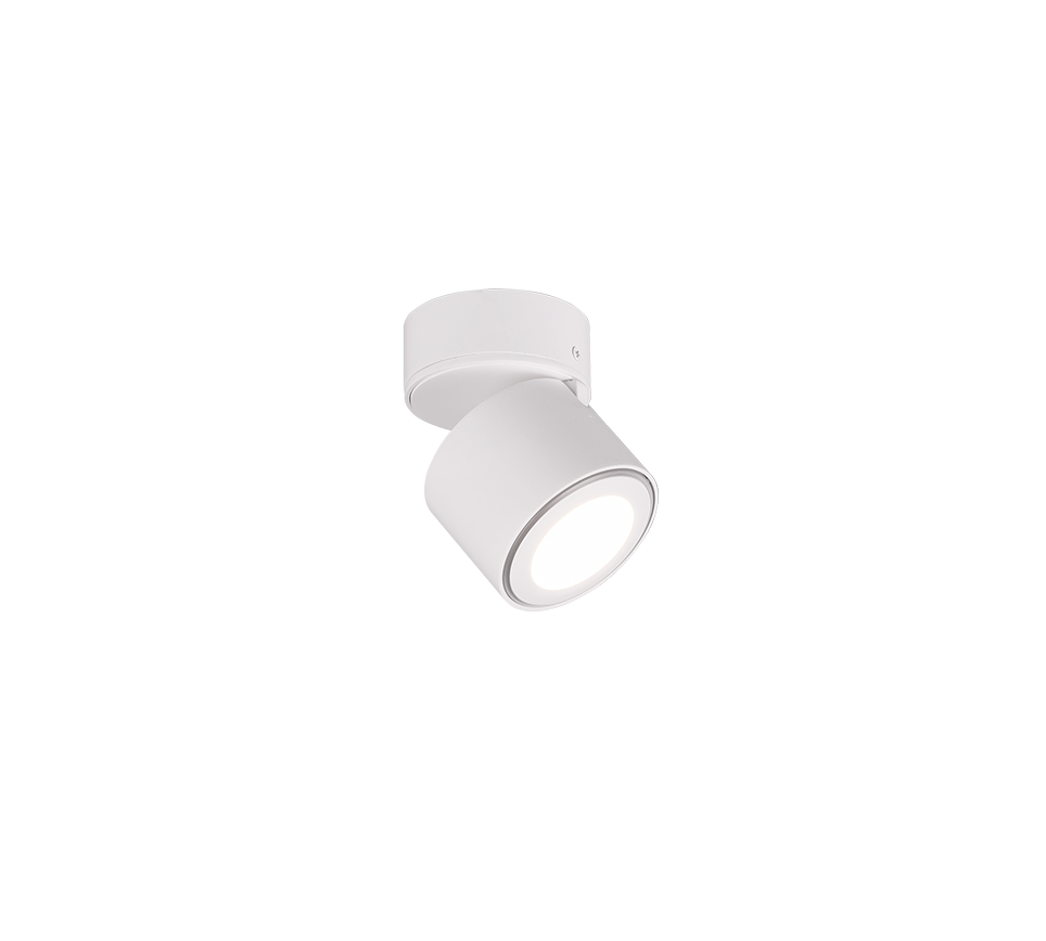 TAURUS | Ceiling lamp | White mat | Metal