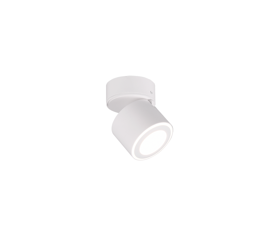 TAURUS | Ceiling lamp | White mat | Metal