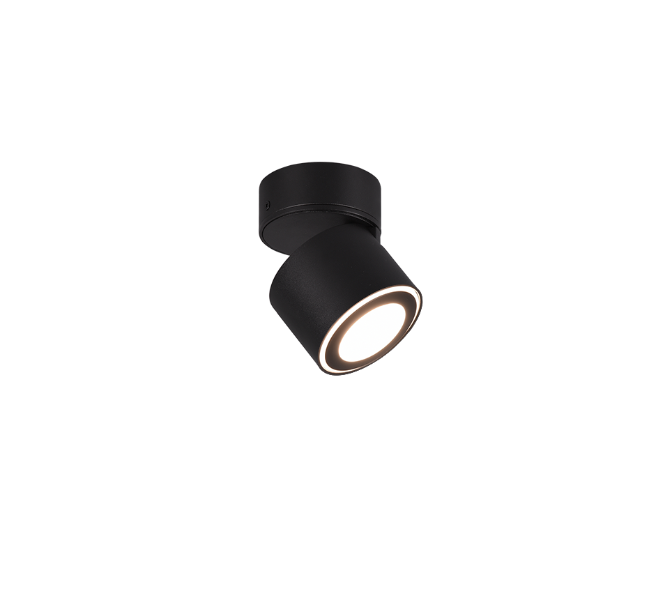 TAURUS | Ceiling lamp | Black mat | Metal