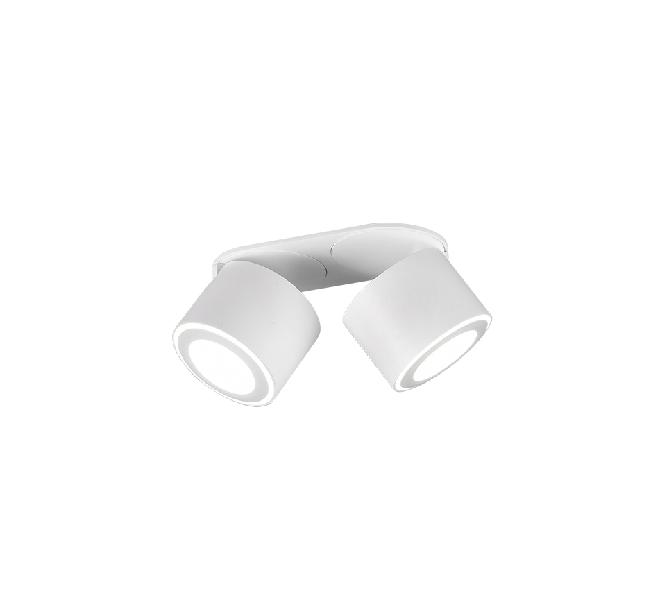 TAURUS | Ceiling lamp | White mat | Metal