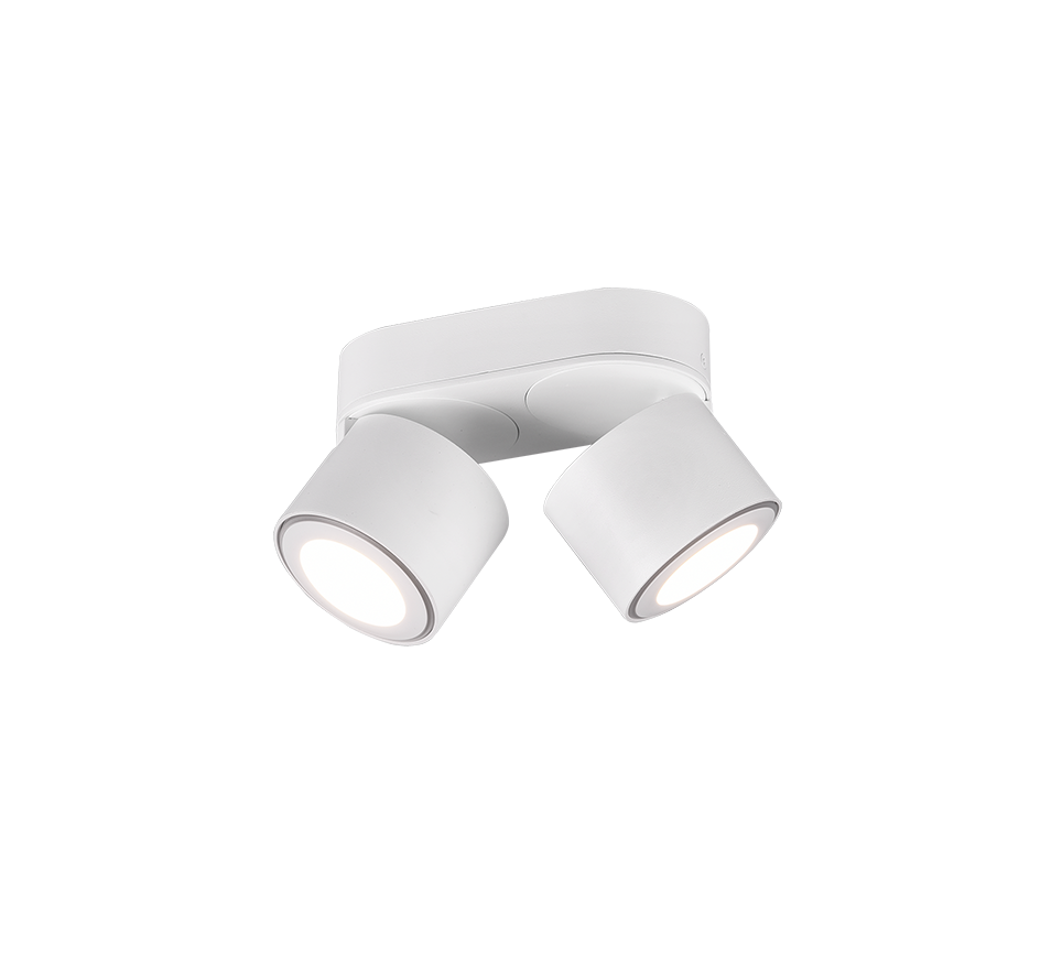 TAURUS | Ceiling lamp | White mat | Metal