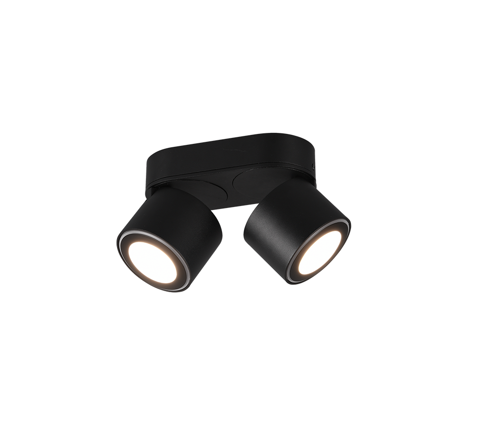 TAURUS | Ceiling lamp | Black mat | Metal