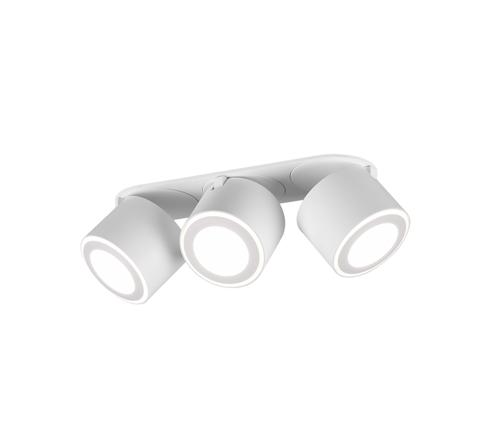 TAURUS | Ceiling lamp | White mat | Metal