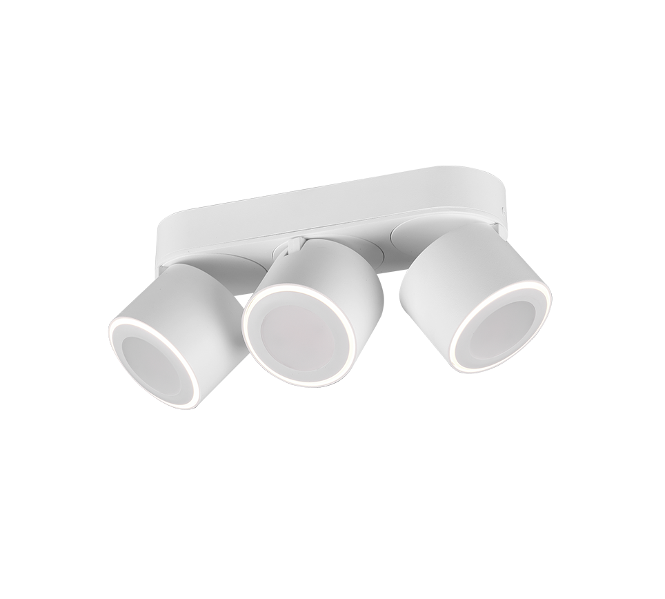TAURUS | Ceiling lamp | White mat | Metal