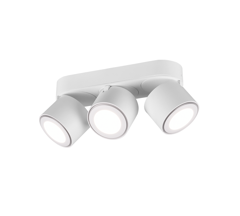 TAURUS | Ceiling lamp | White mat | Metal