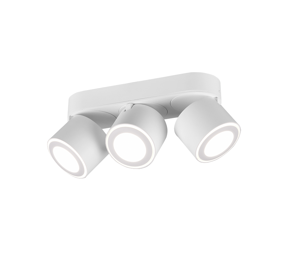 TAURUS | Ceiling lamp | White mat | Metal