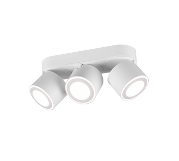 TAURUS | Ceiling lamp | White mat | Metal