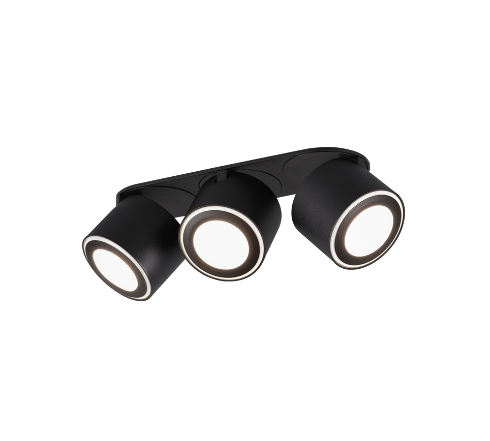 TAURUS | Ceiling lamp | Black mat | Metal