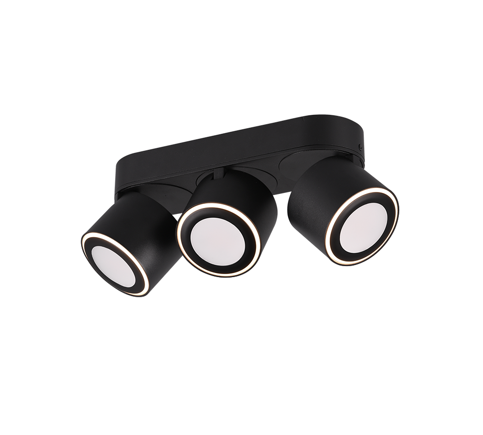 TAURUS | Ceiling lamp | Black mat | Metal