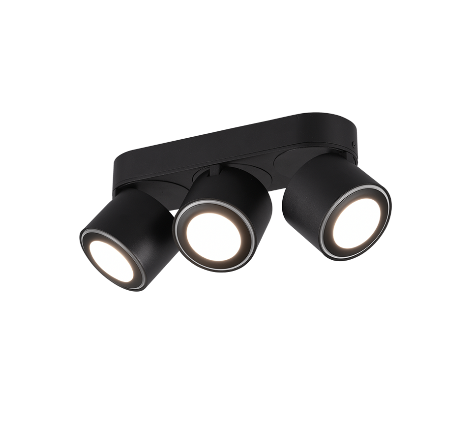 TAURUS | Ceiling lamp | Black mat | Metal