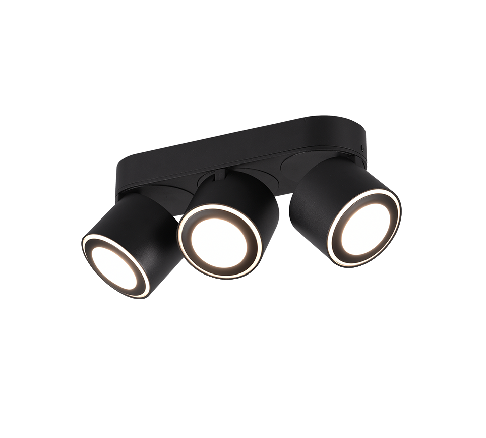 TAURUS | Ceiling lamp | Black mat | Metal