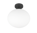 FOMENTO | Ceiling lamp | Black mat | Metal