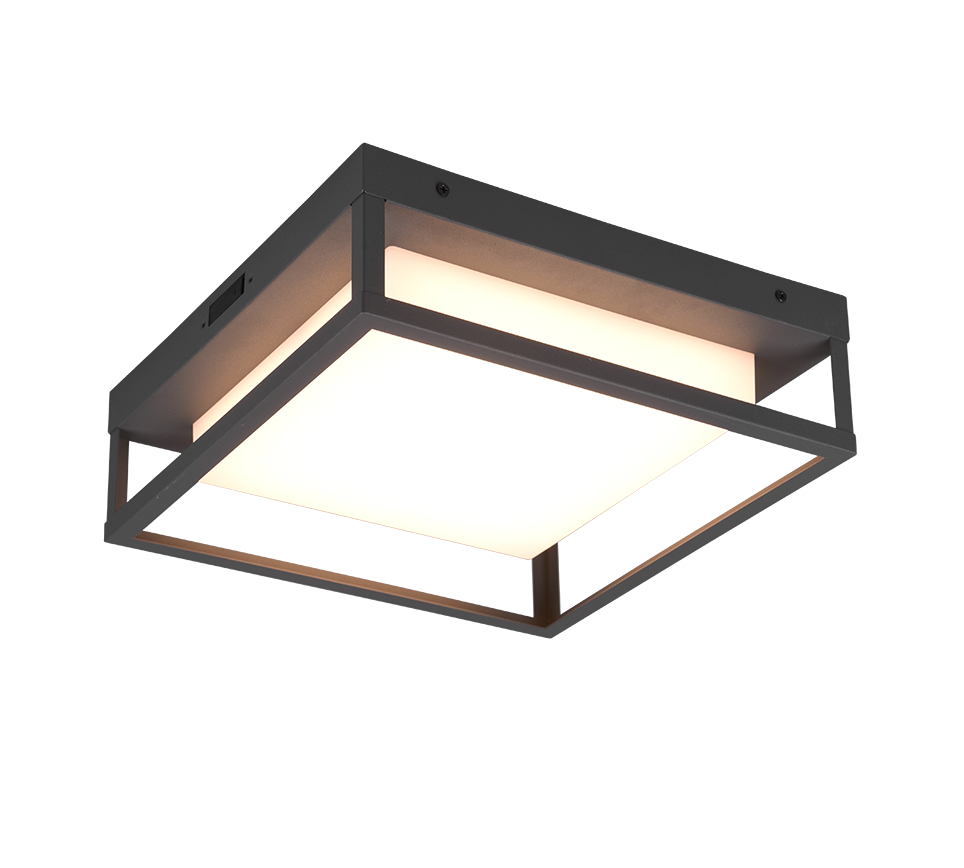 WITHAM | Ceiling lamp | Anthracite | Metal