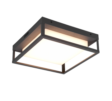 WITHAM | Ceiling lamp | Anthracite | Metal