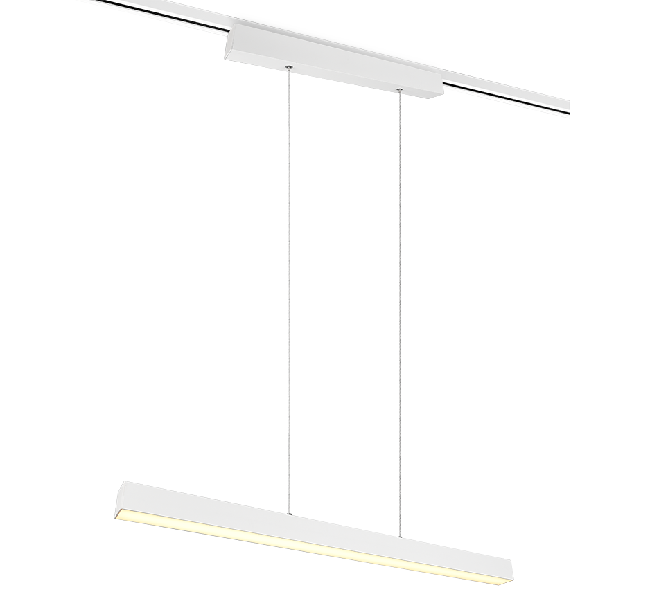 DUOLINE | Pendant | White mat | Metal