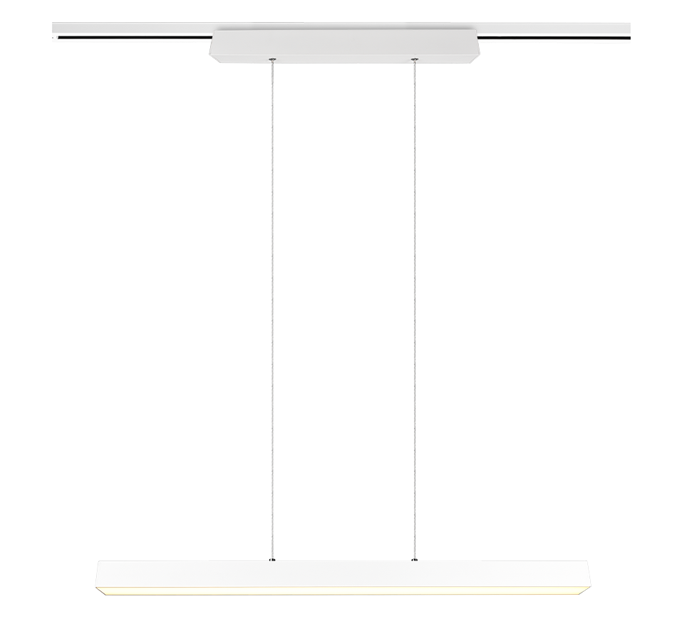 DUOLINE | Pendant | White mat | Metal