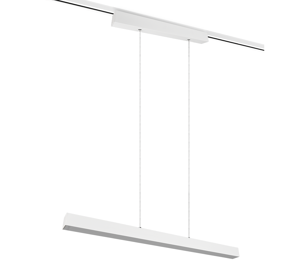 DUOLINE | Pendant | White mat | Metal