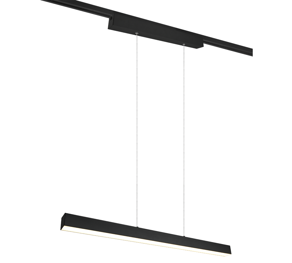 DUOLINE | Pendant | Black mat | Metal