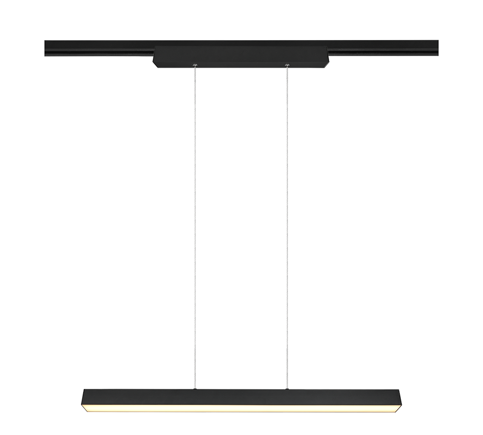 DUOLINE | Pendant | Black mat | Metal