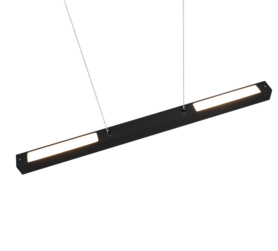 DUOLINE | Pendant | Black mat | Metal