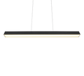 DUOLINE | Pendant | Black mat | Metal