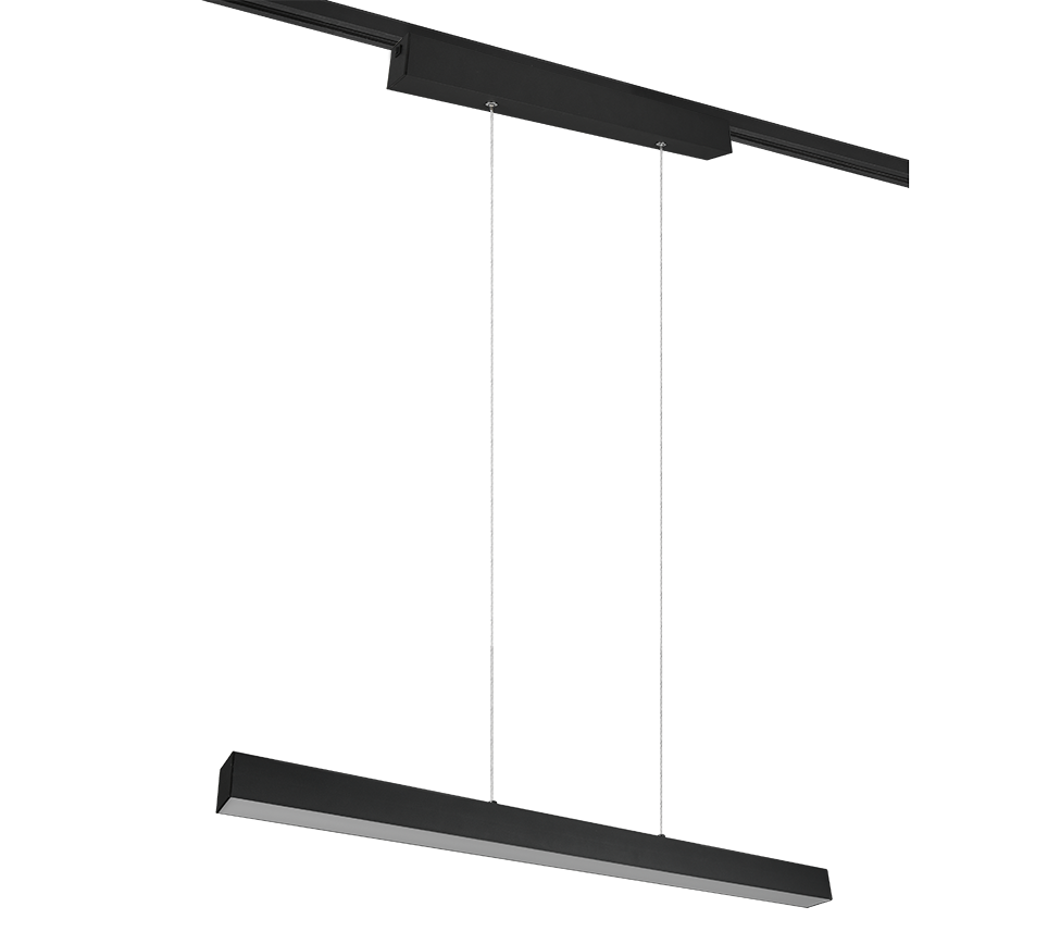 DUOLINE | Pendant | Black mat | Metal