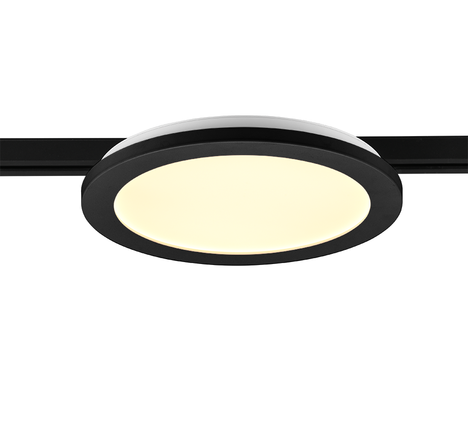 DUOLINE | Ceiling lamp | Black mat | Plastic