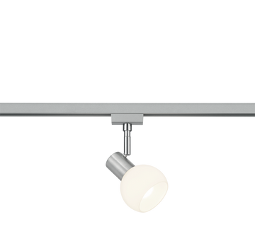 DUOLINE | Spot | Nickel mat | Metal