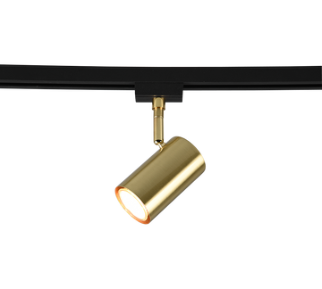 DUOLINE | Spot | Brass mat | Metal
