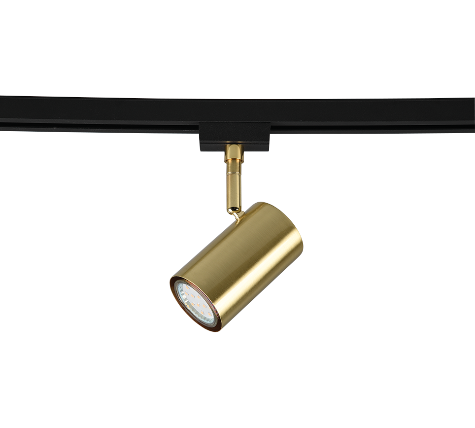 DUOLINE | Spot | Brass mat | Metal