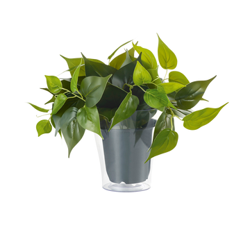 TRIO - PLANT - Pendular adapter - 92945