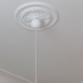 Cannonball White 6Da11a9d 1614 4Cc2 820A 0768B755d0d5.png