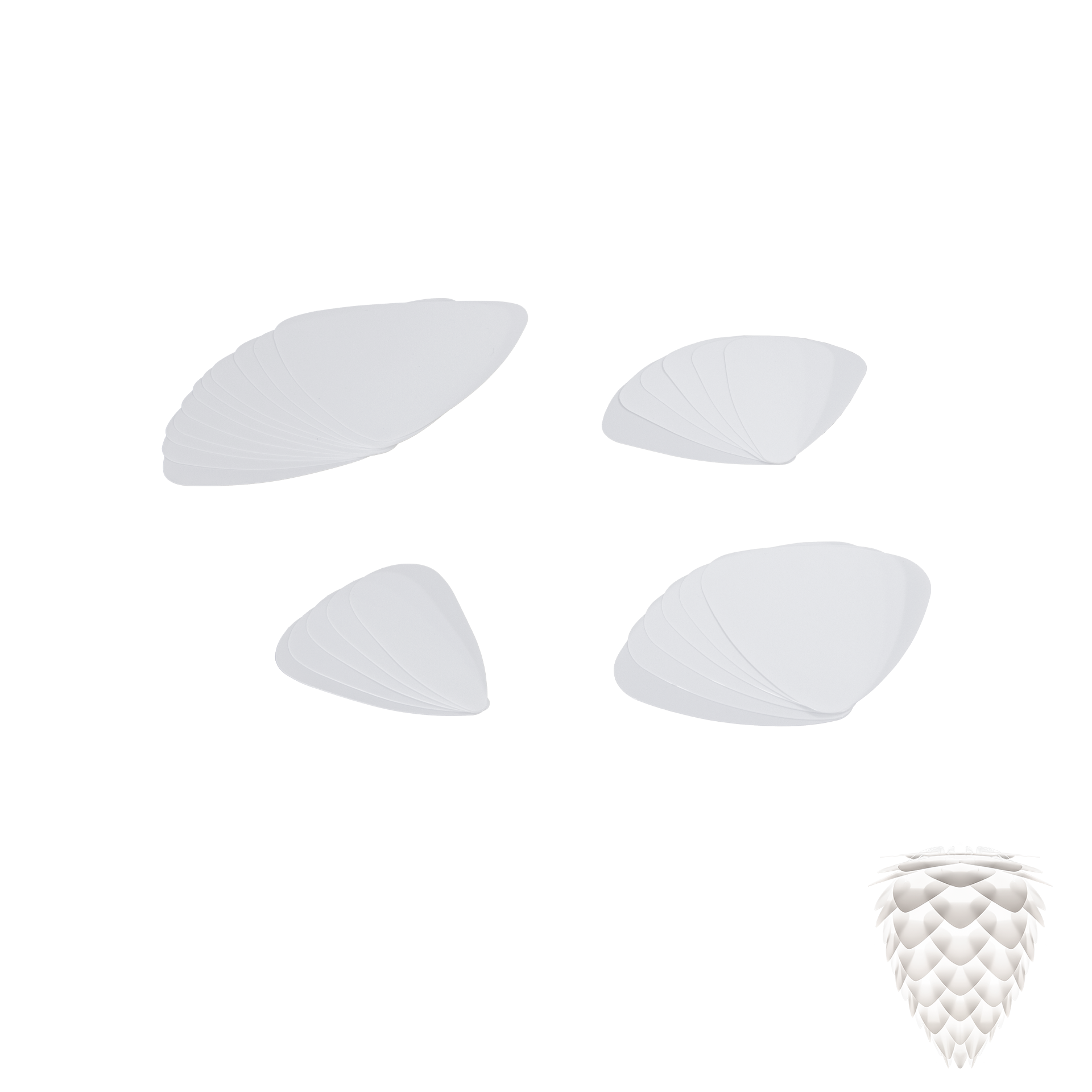 2019LP05A